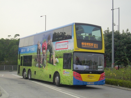 8153.jpg