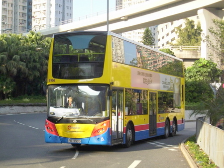8166.jpg