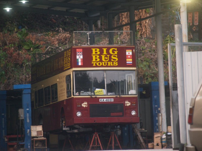 P3125489.jpg