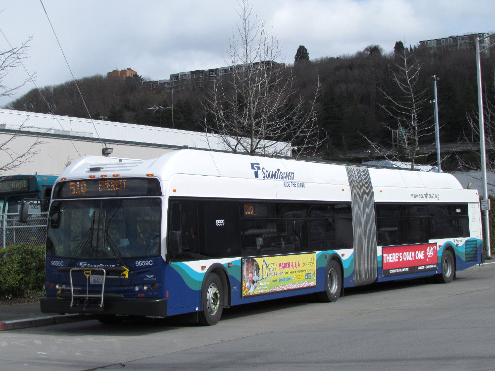 9559.jpg