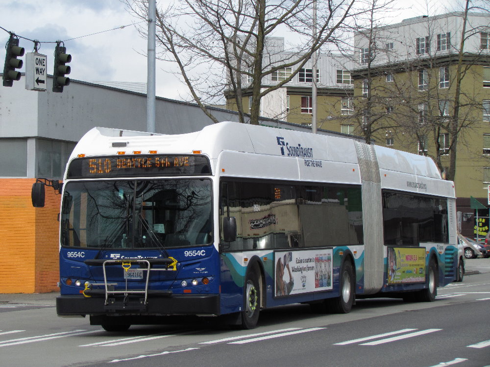 9554.jpg