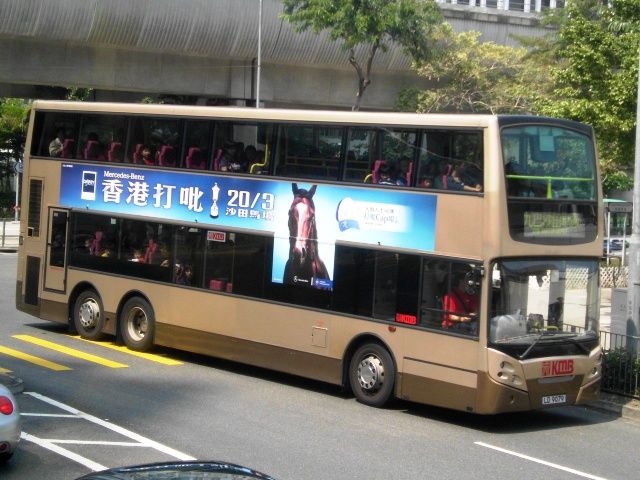 01.jpg