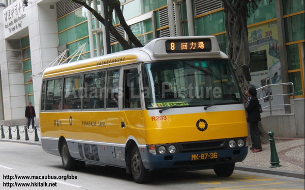 293-8.jpg
