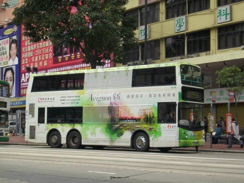 p8700141.jpg