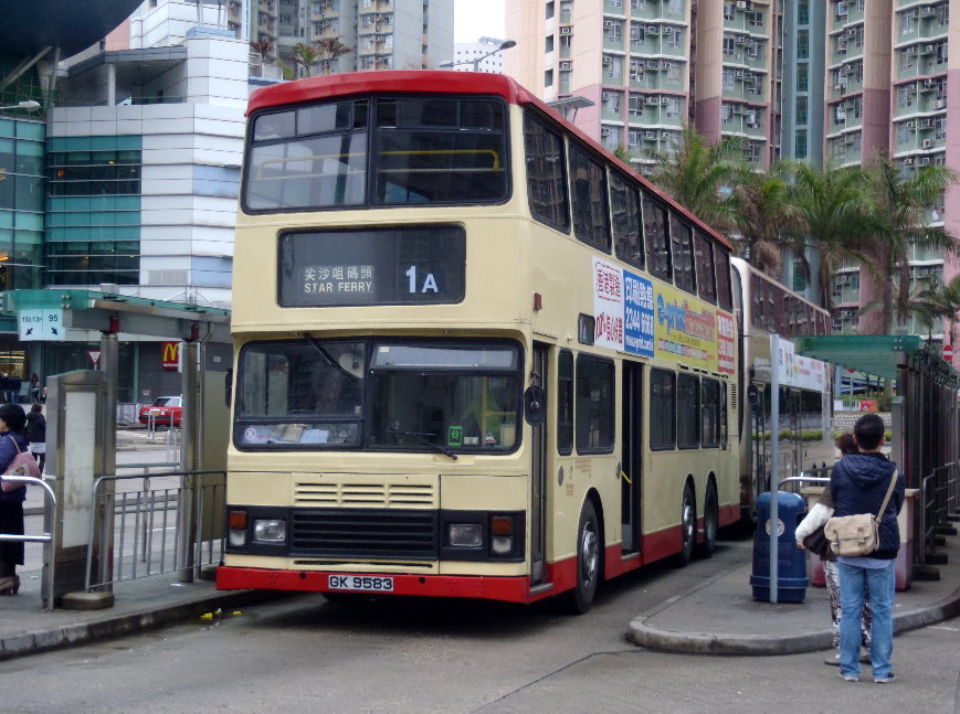 P3193172 2.jpg