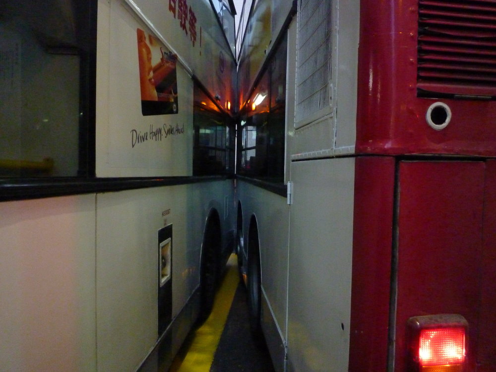 P1070923.JPG