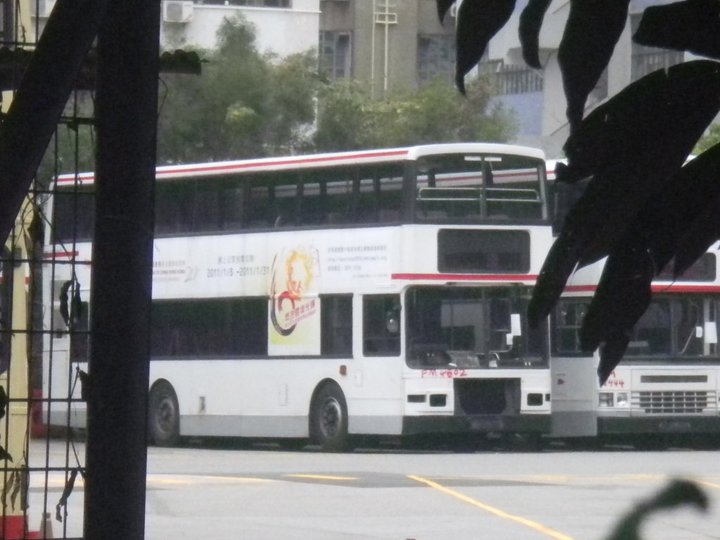 4502.jpg