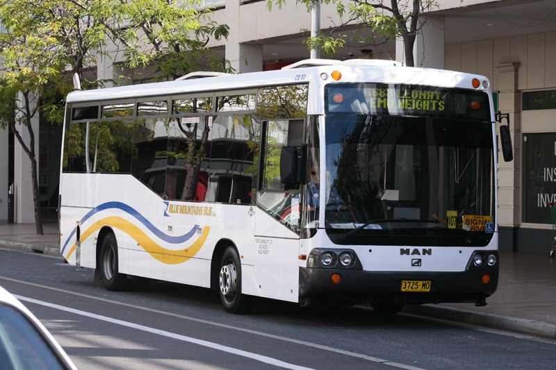 _MG_8117.jpg