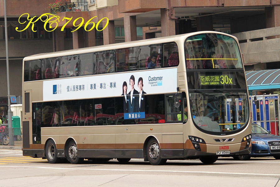 PJ4566_30X.jpg