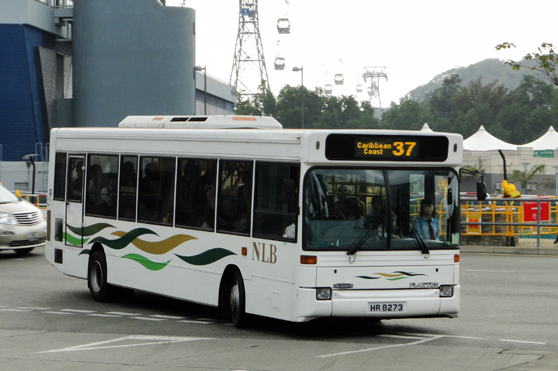 HR8273.JPG