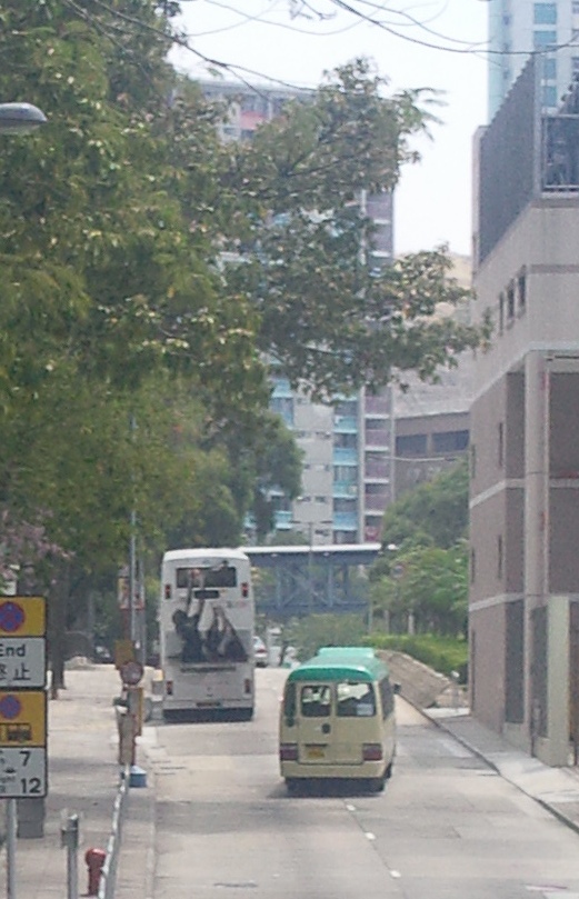 相片0270-cropped.JPG
