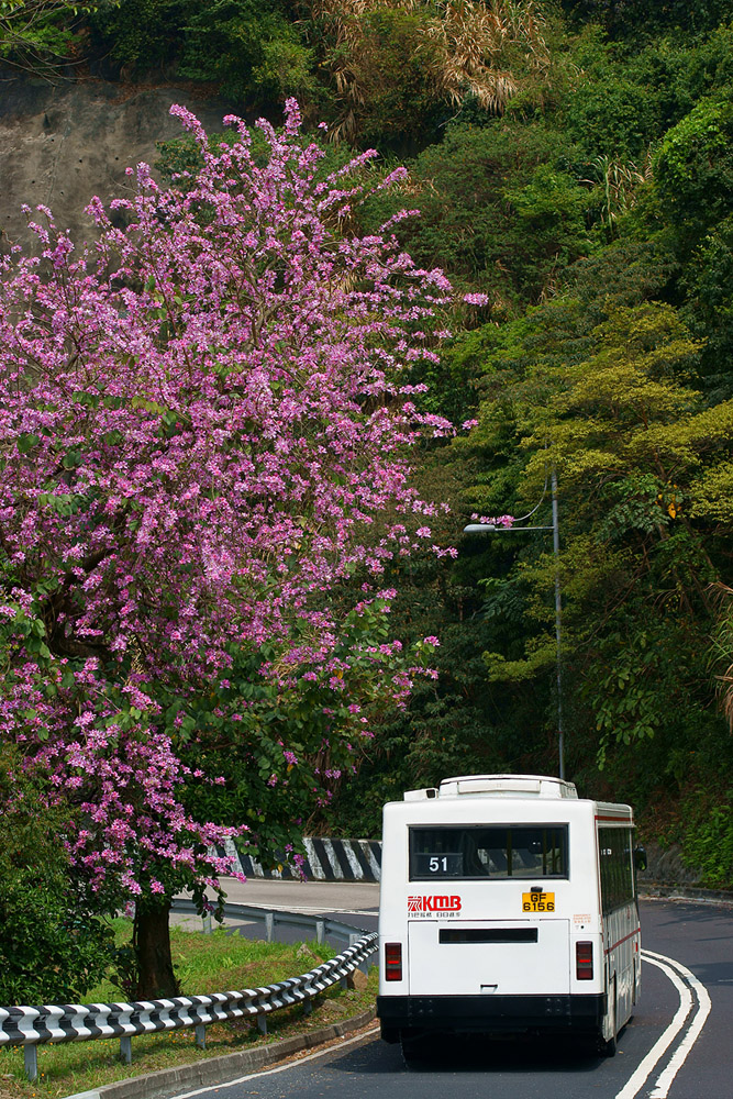 DSC01041ss.jpg