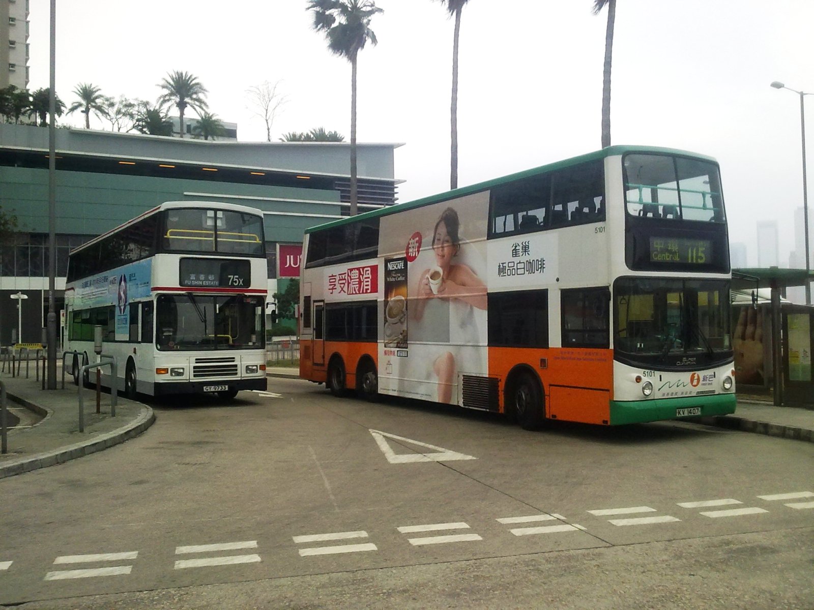5101.jpg