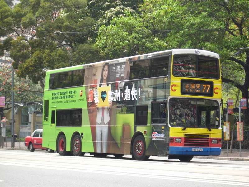 p8710255.jpg