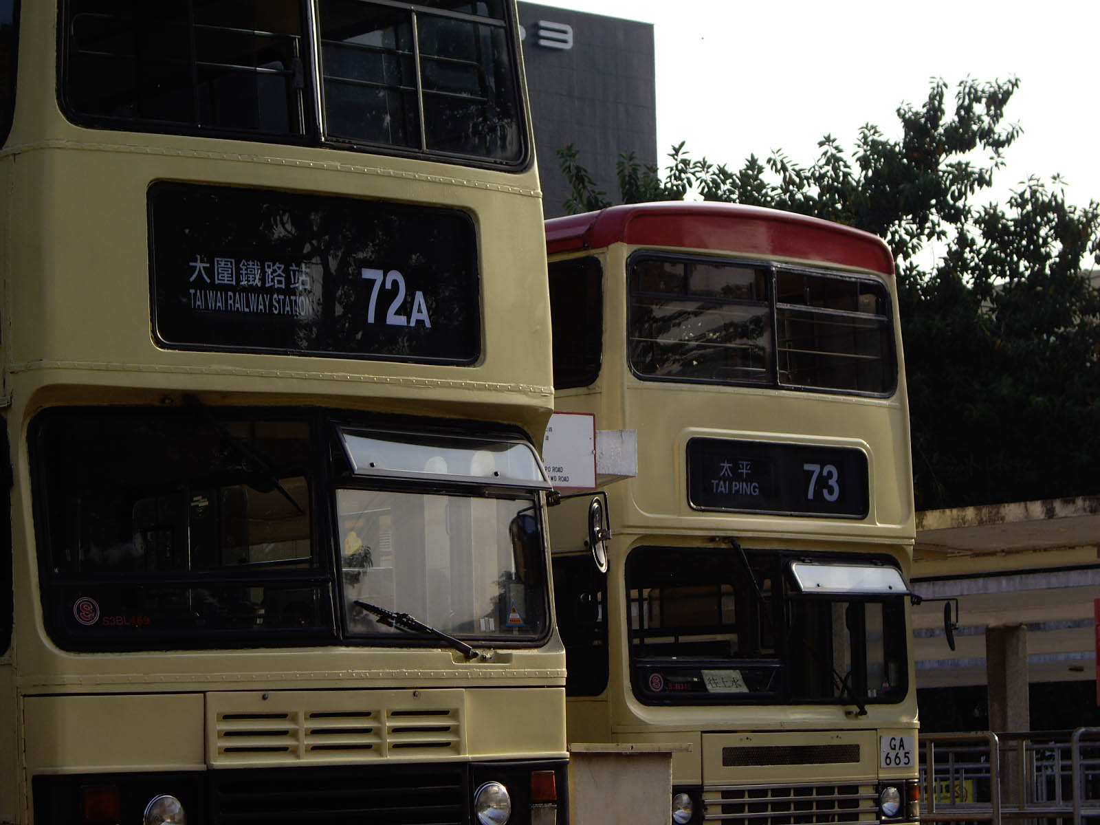 IMGP7028.jpg