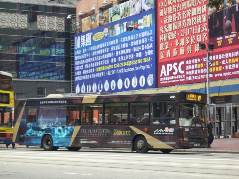 p8710111.jpg