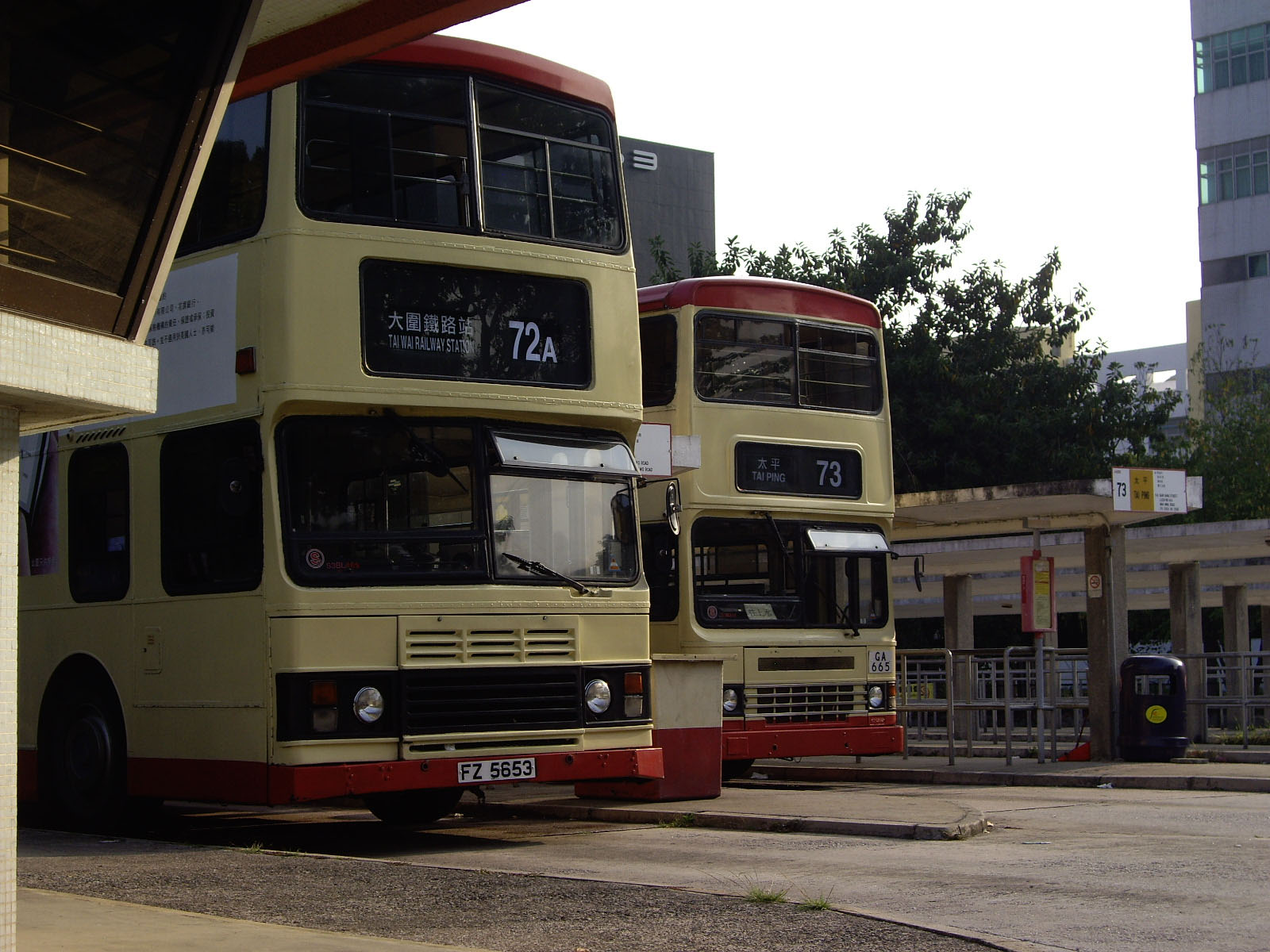 IMGP7029.jpg