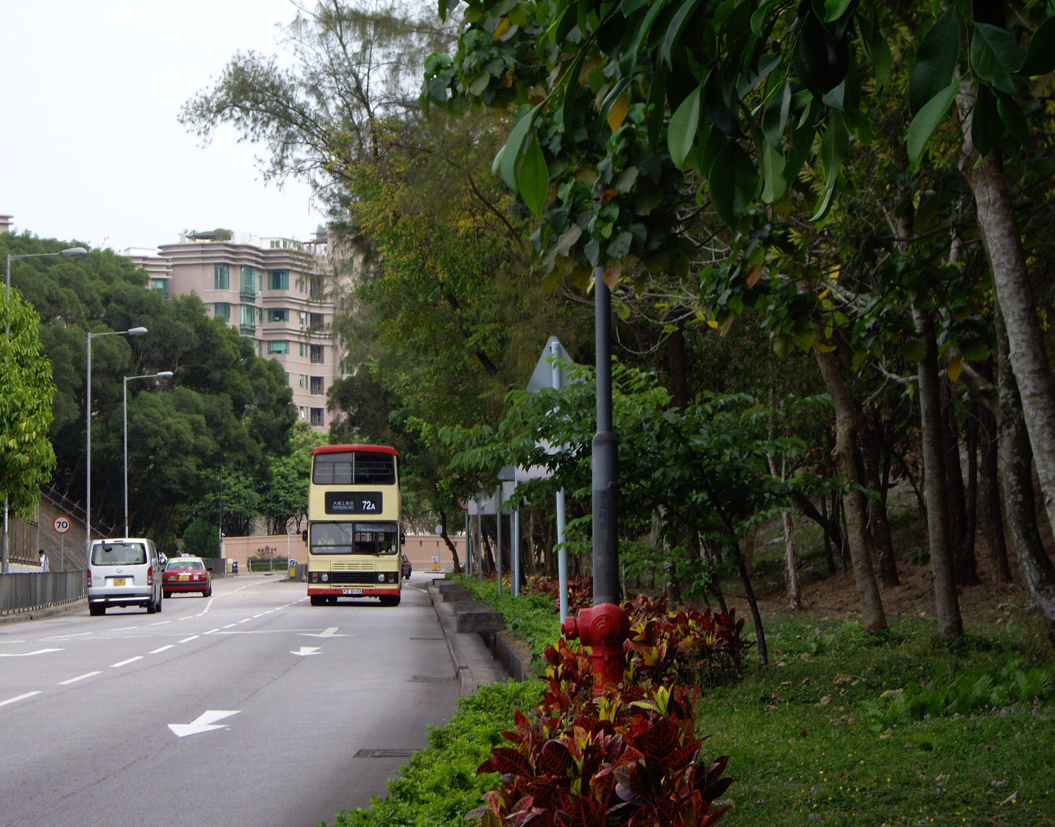 IMGP7007.jpg