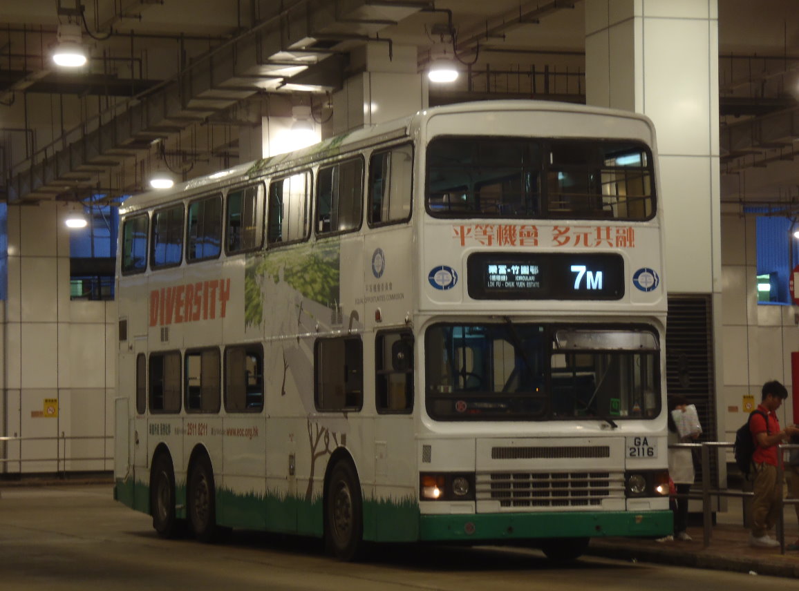 P4160473 2.jpg