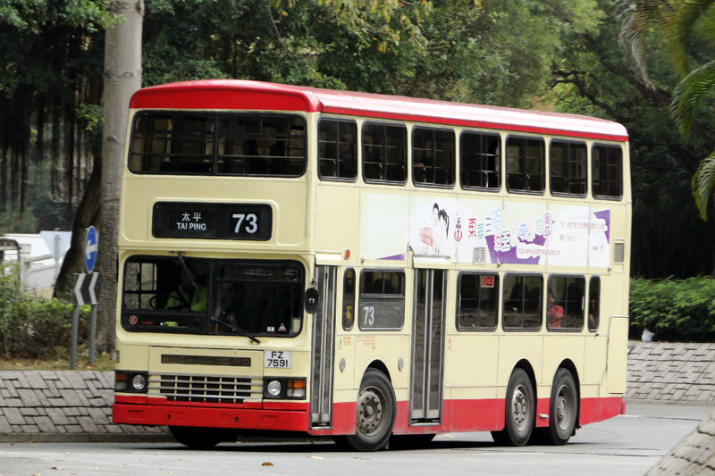 FZ7591.jpg