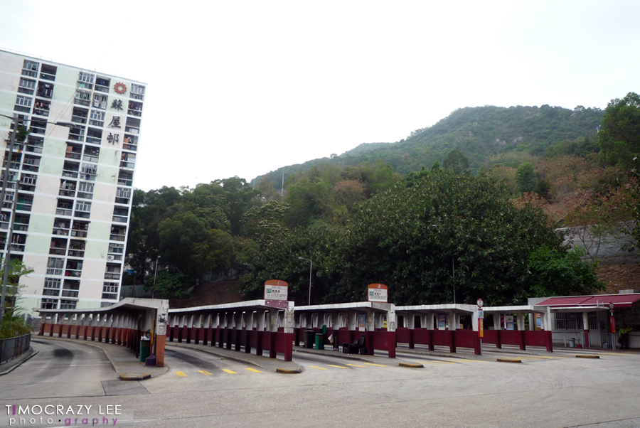 P1090842.jpg
