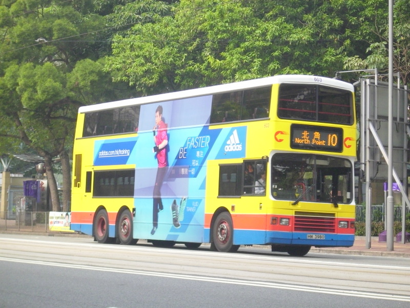 p8660411.jpg