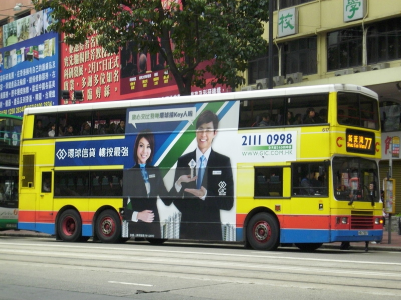 p8710245.jpg