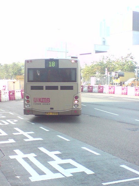 18_1104262.JPG