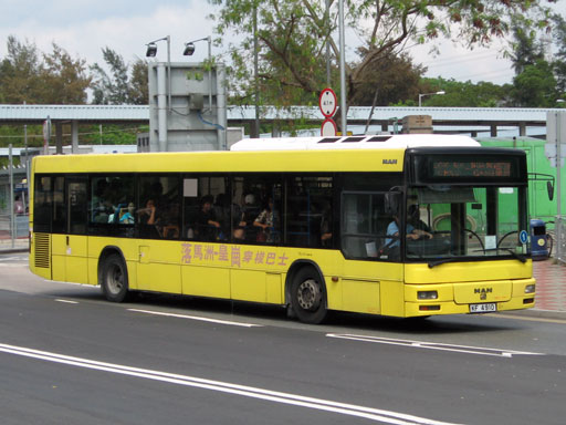 4910.jpg