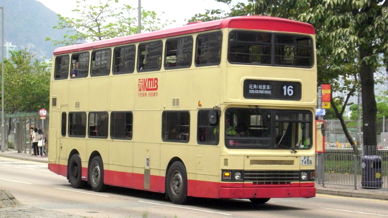 p8720130.jpg