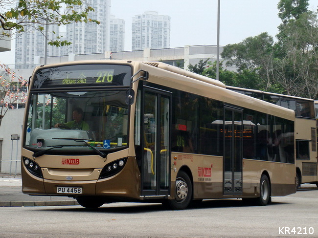 PU44581.jpg