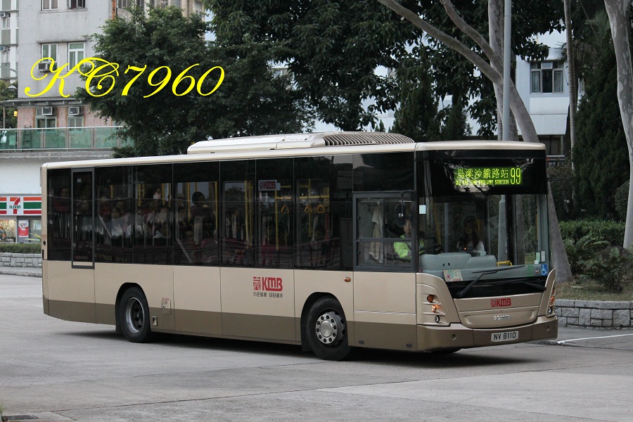 NV8110_99.jpg