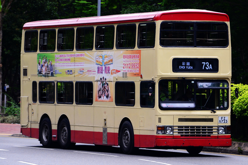 DSC_1739.JPG