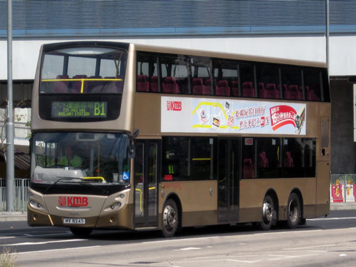 8245.jpg