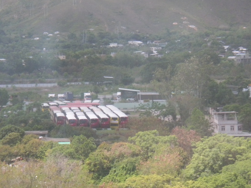 yard.jpg