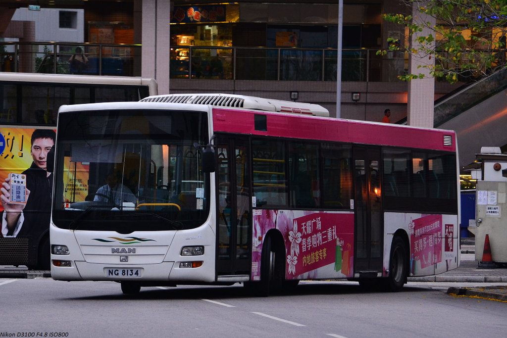 DSC_1599.JPG