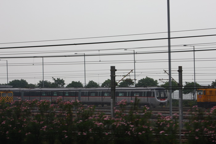 C1.jpg
