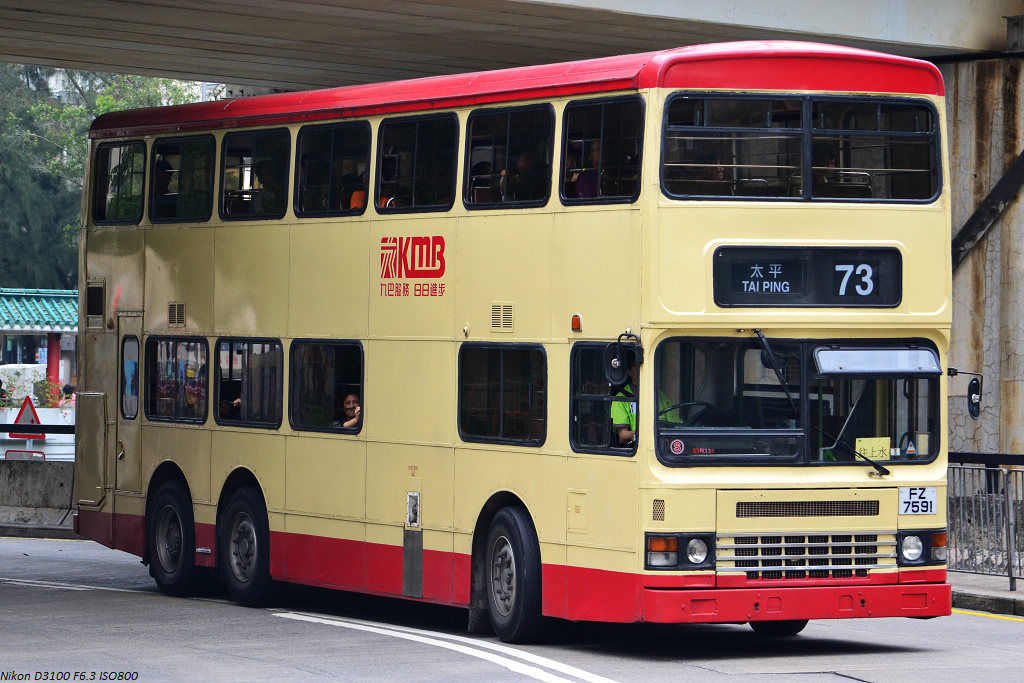 DSC_1195.JPG