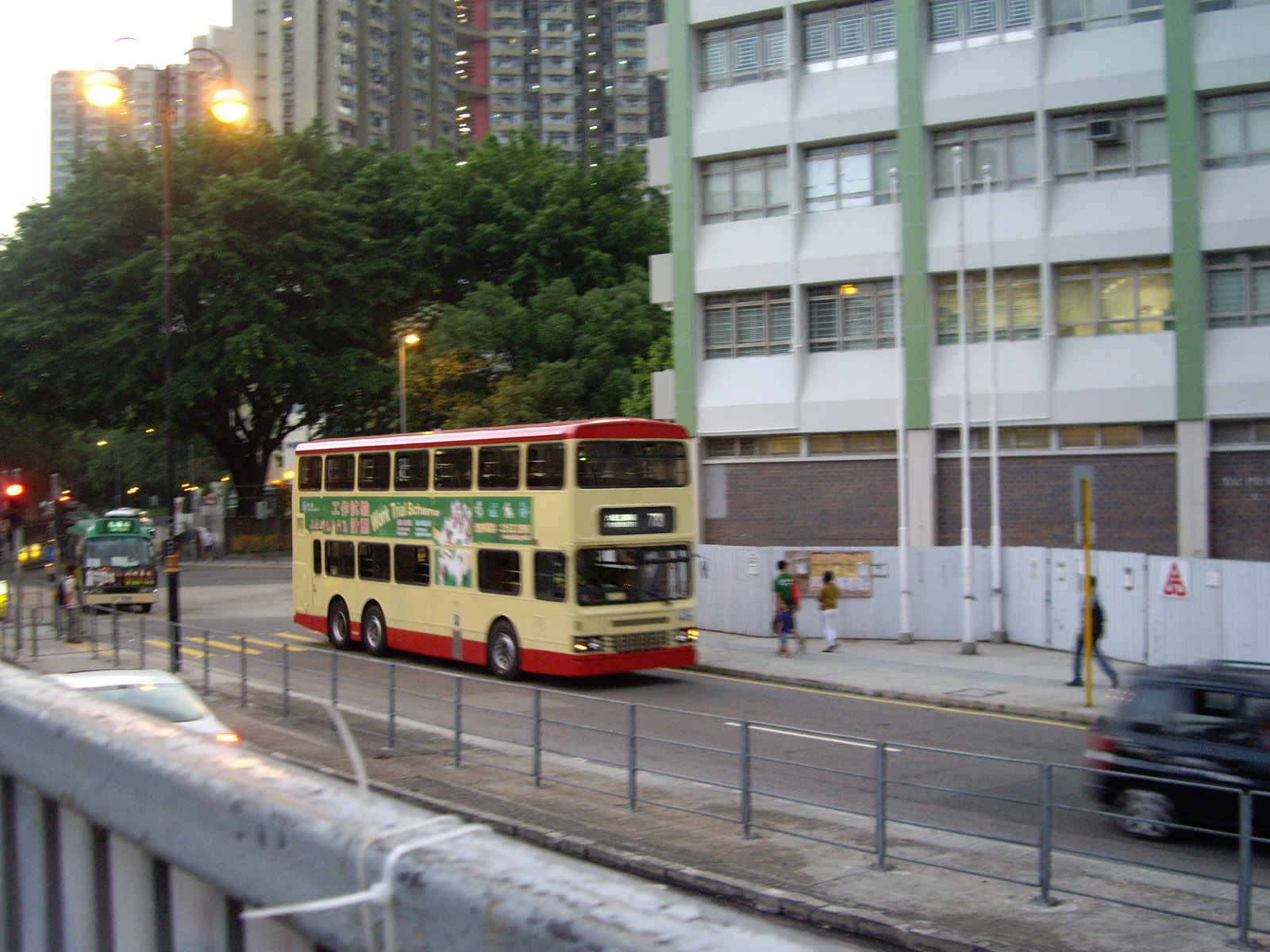 IMGP7523.jpg