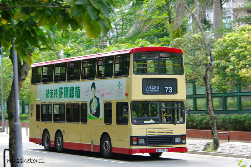 IMGP7729.jpg