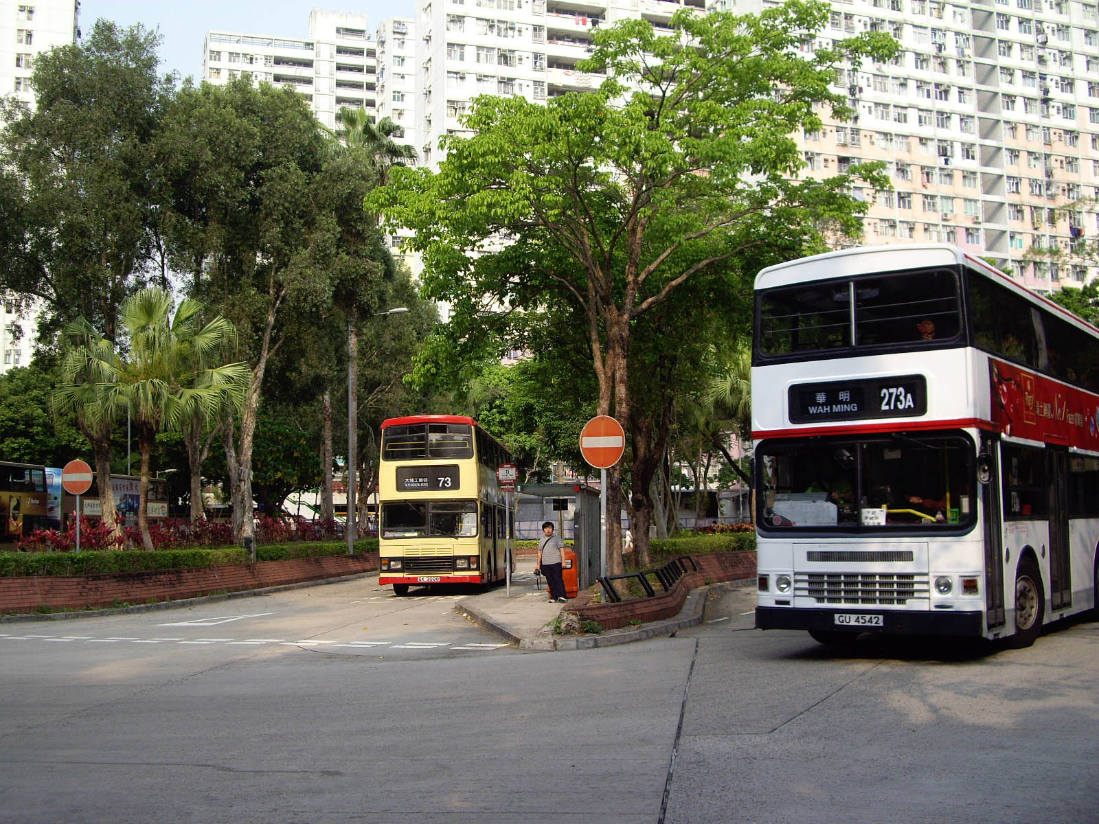 IMGP7098.jpg