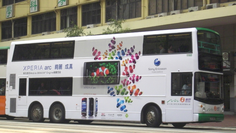 p8730023.jpg