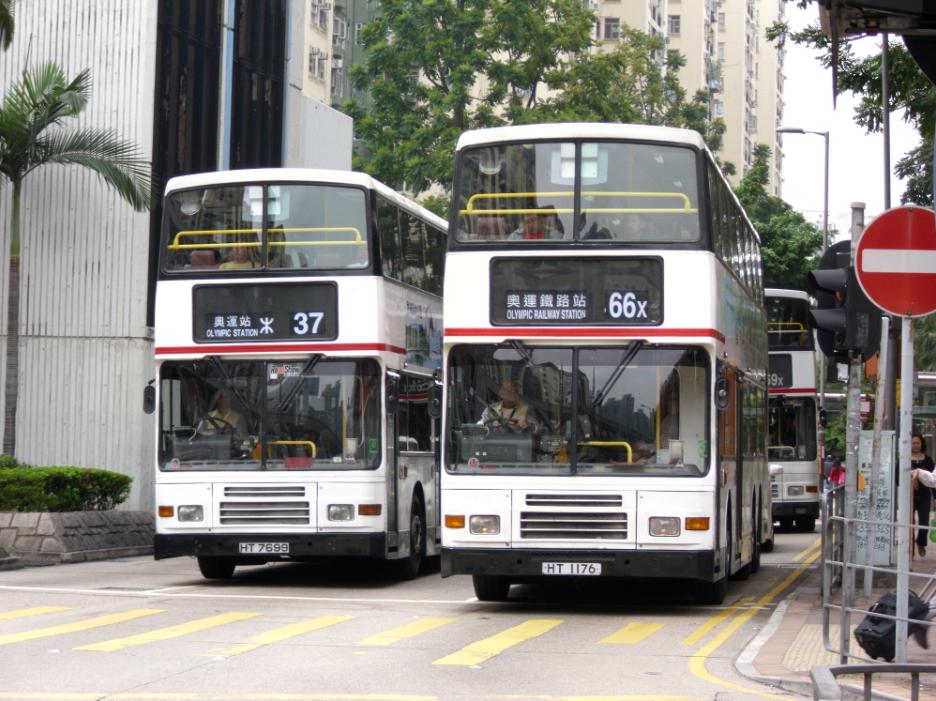 HT1176.JPG