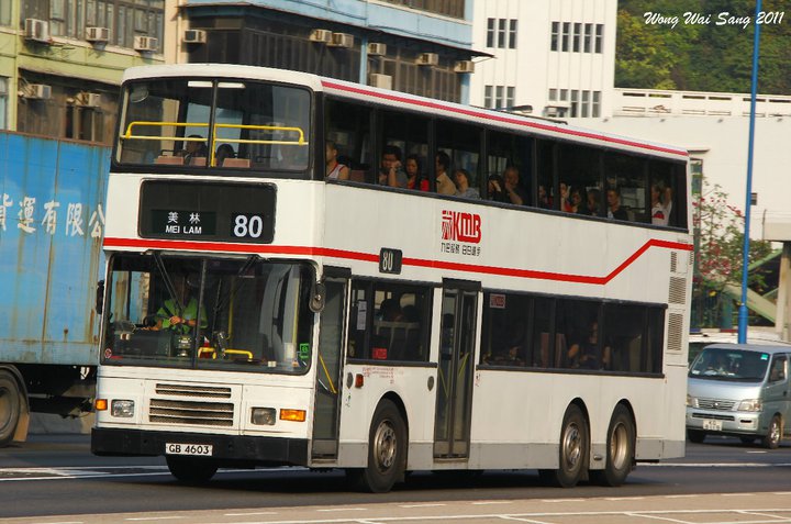 GB4603.jpg