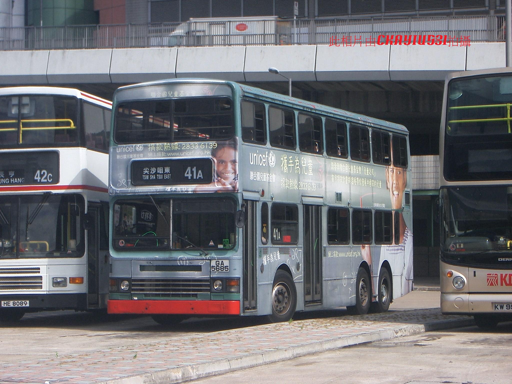CIMG1355.jpg