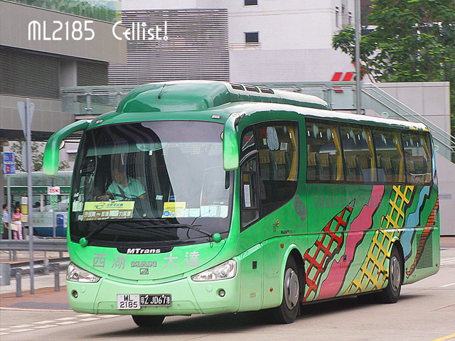 ml2185.jpg