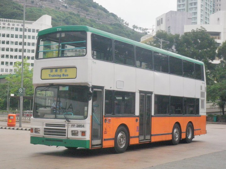 t11.jpg