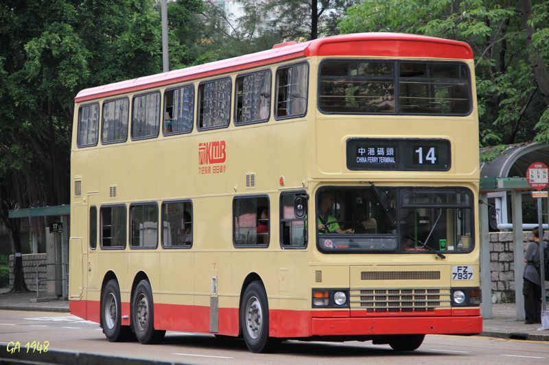 7937.jpg
