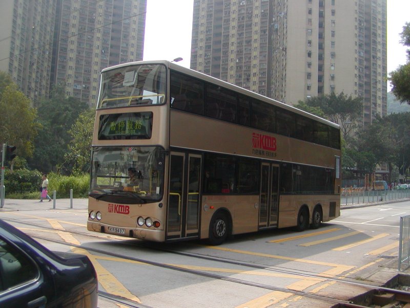k_amn46_1.jpg