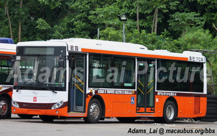 fdg6101g.jpg
